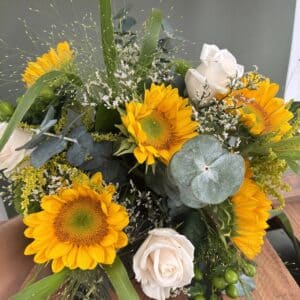 Le Tournesol